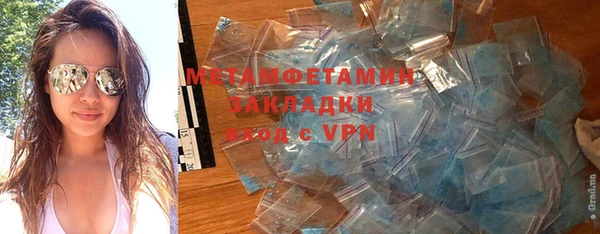 индика Гатчина